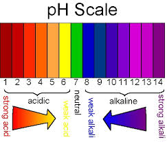 What Does pH Level Mean in Black Skin Care Products?