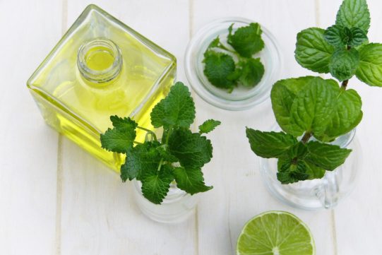 5 Reasons Peppermint Essential Oil is Good for Natural Hair Care [Updated 2021]