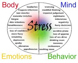 Stress, What Makes it Different Today?